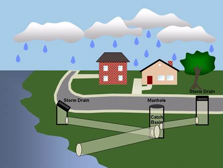 Storm drains direct untreated liquids and solids into the breeding corridors of most bay life.